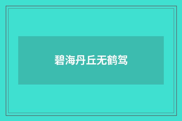 碧海丹丘无鹤驾