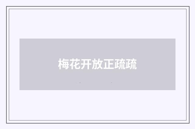 梅花开放正疏疏