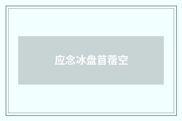 应念冰盘苜蓿空