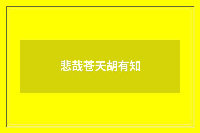 悲哉苍天胡有知
