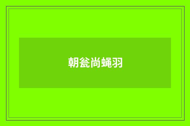 朝瓮尚蝇羽