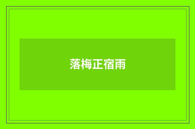 落梅正宿雨