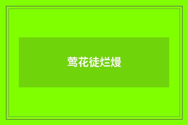 莺花徒烂熳