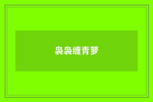 袅袅缠青萝