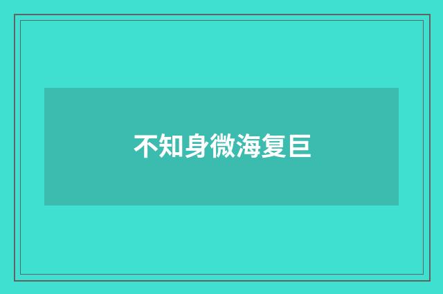 不知身微海复巨