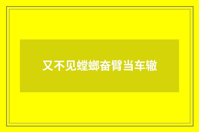 又不见螳螂奋臂当车辙