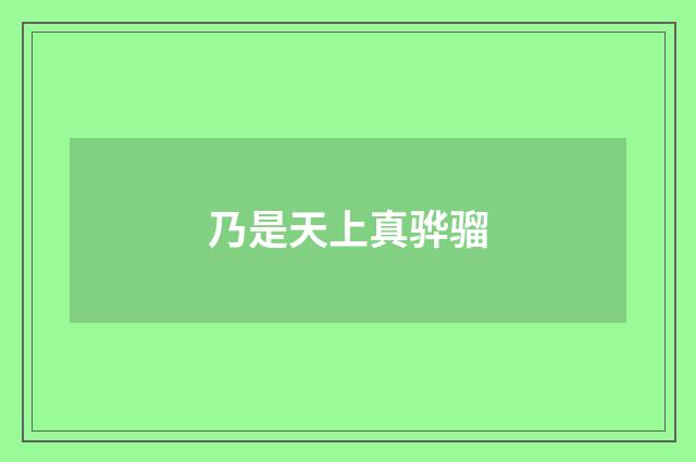 乃是天上真骅骝