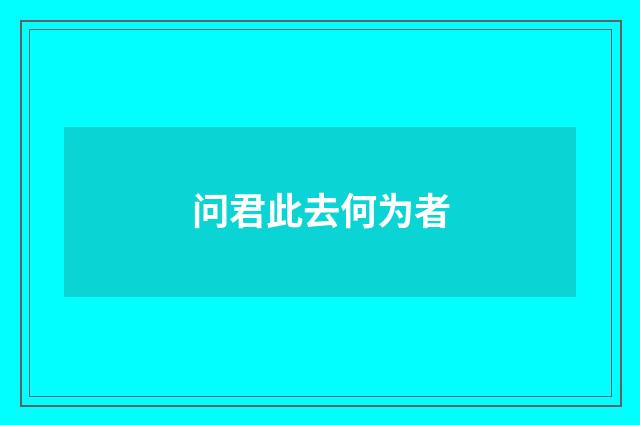 问君此去何为者