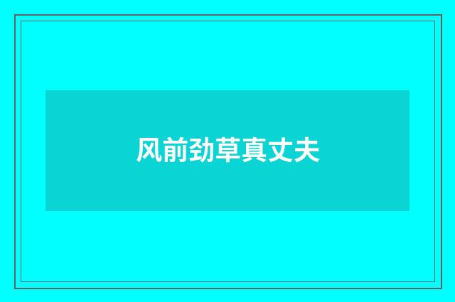风前劲草真丈夫