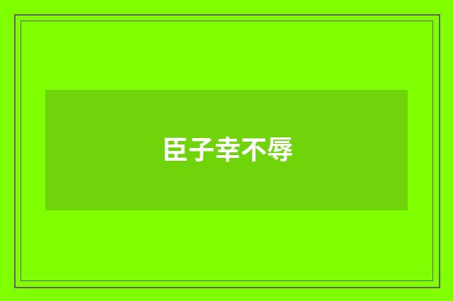 臣子幸不辱