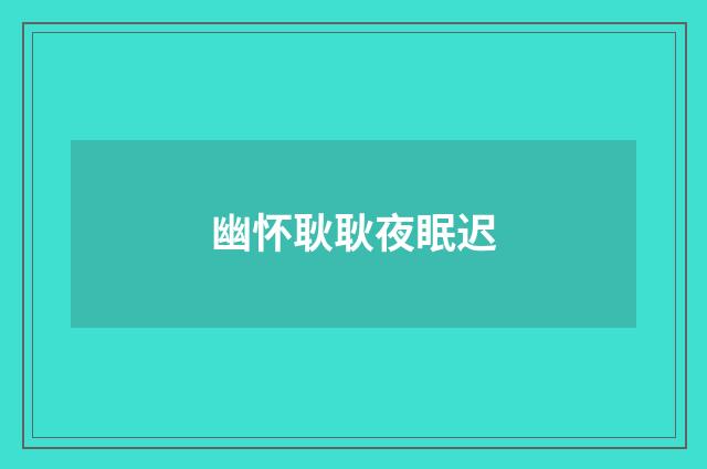 幽怀耿耿夜眠迟