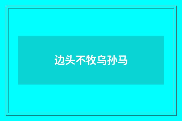 边头不牧乌孙马