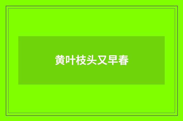 黄叶枝头又早春