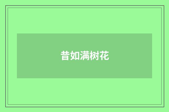 昔如满树花