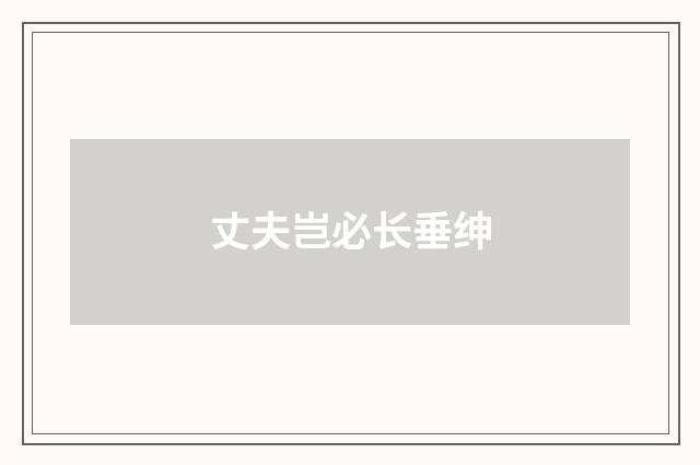 丈夫岂必长垂绅