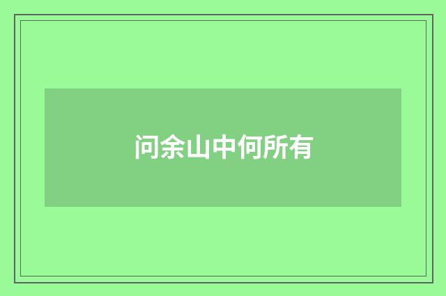 问余山中何所有