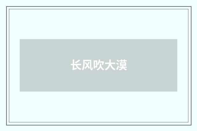 长风吹大漠