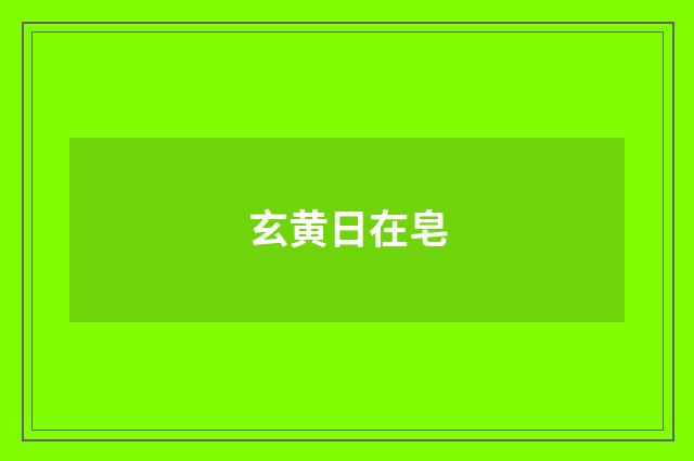 玄黄日在皂