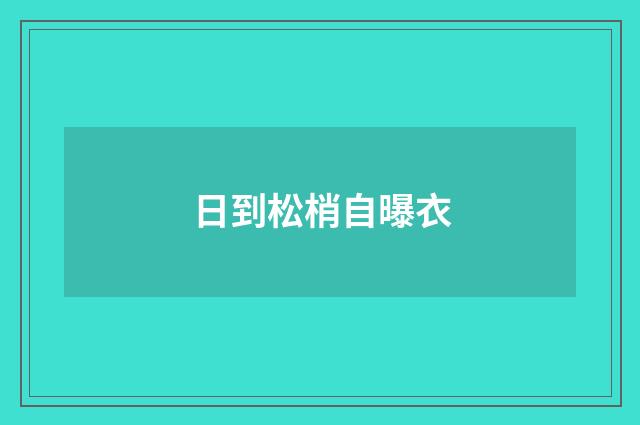 日到松梢自曝衣