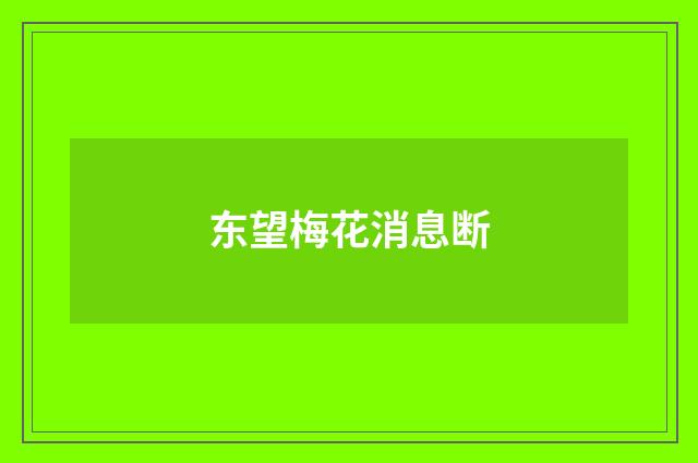 东望梅花消息断