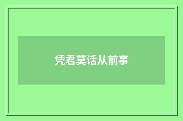 凭君莫话从前事