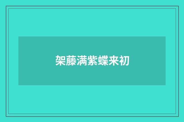 架藤满紫蝶来初