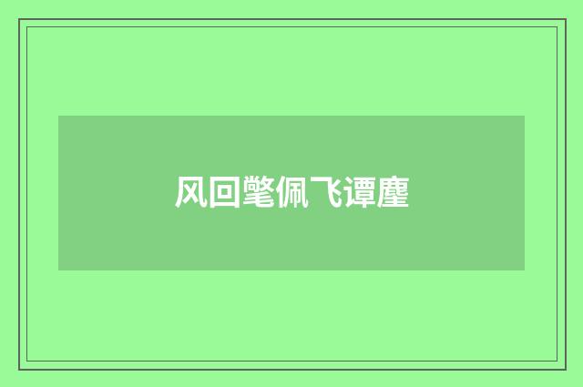 风回氅佩飞谭麈
