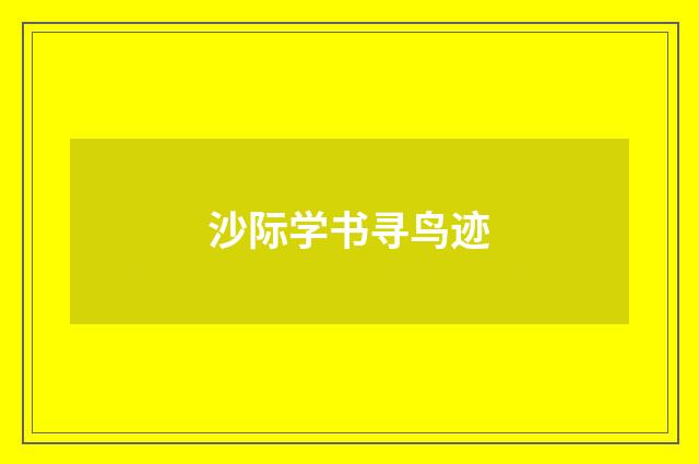 沙际学书寻鸟迹