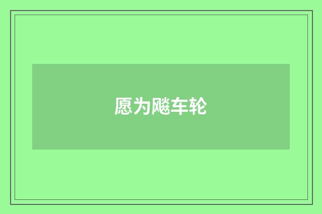 愿为飚车轮
