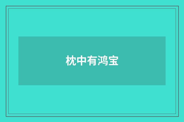 枕中有鸿宝