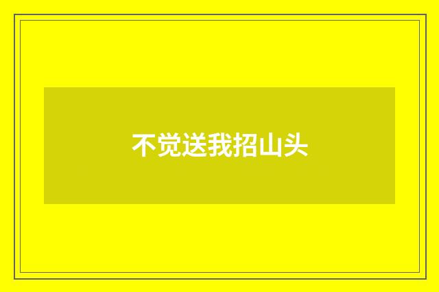 不觉送我招山头