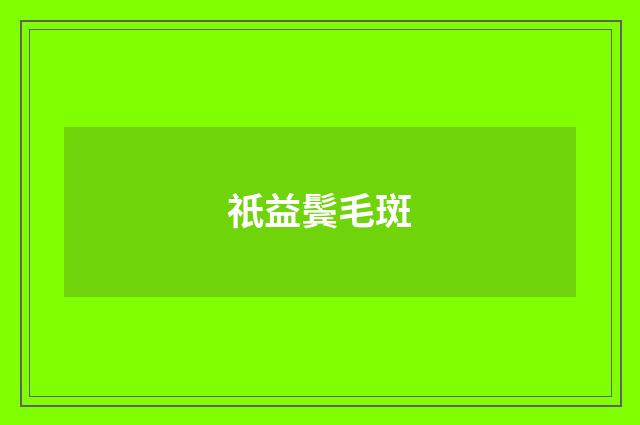 祇益鬓毛斑