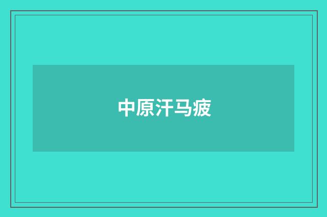 中原汗马疲