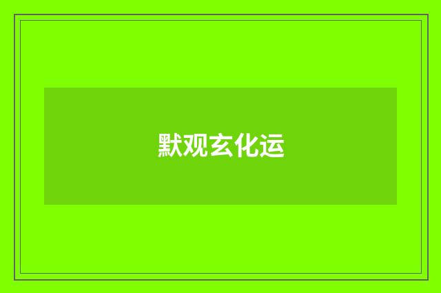 默观玄化运