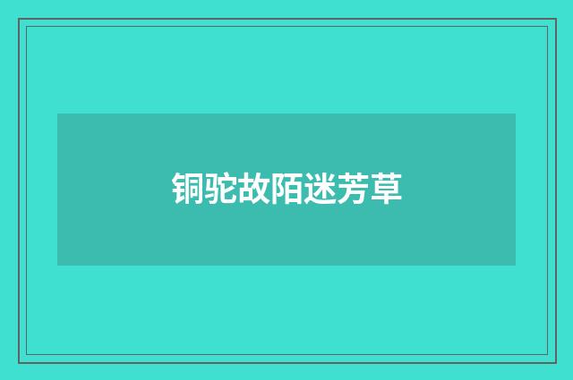 铜驼故陌迷芳草