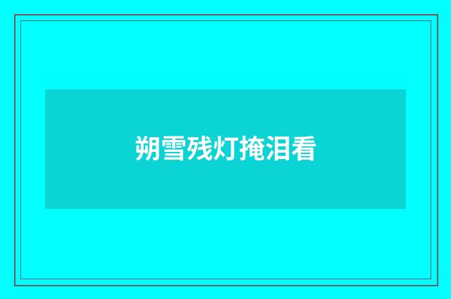 朔雪残灯掩泪看