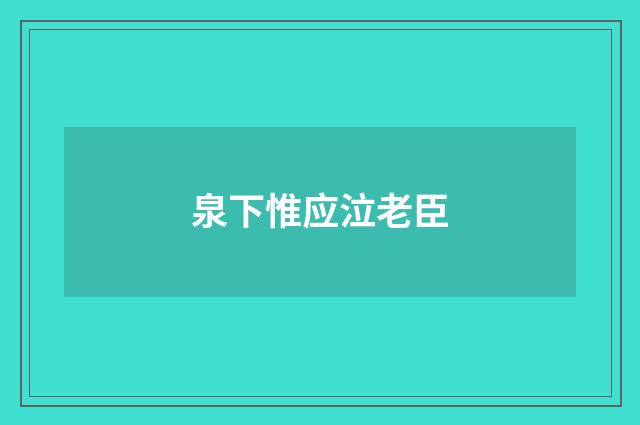 泉下惟应泣老臣