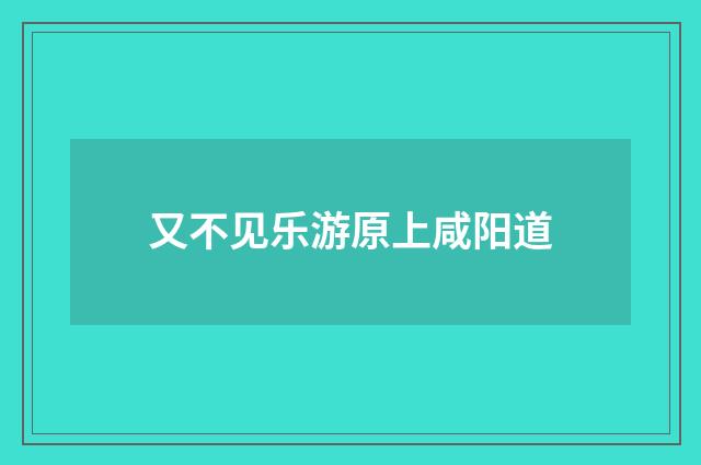 又不见乐游原上咸阳道