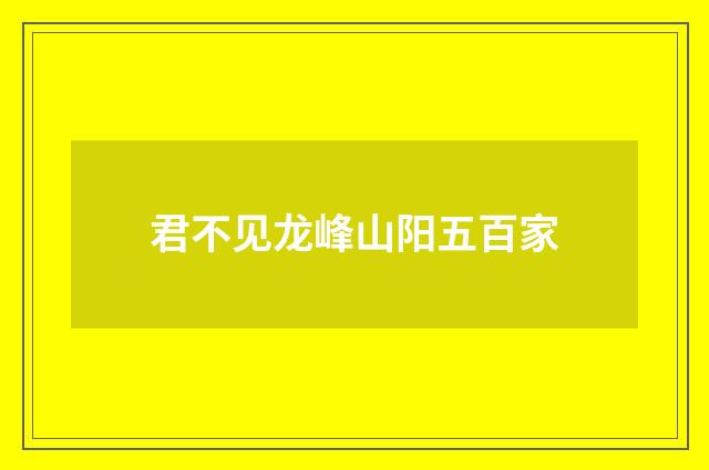 君不见龙峰山阳五百家