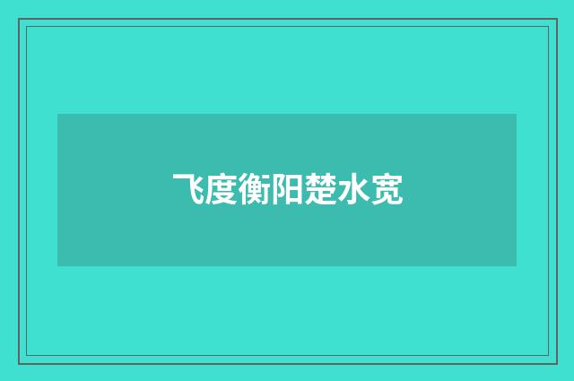 飞度衡阳楚水宽