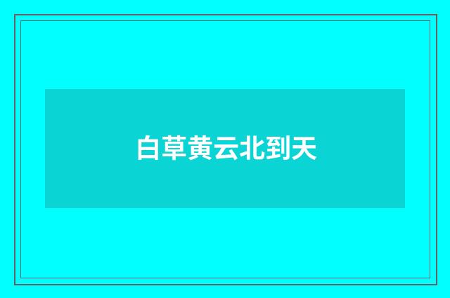 白草黄云北到天