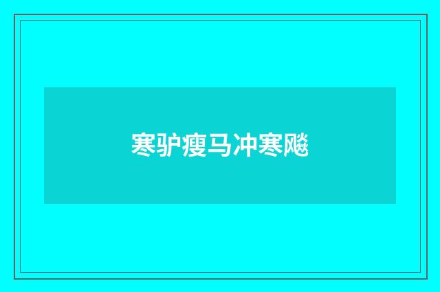 寒驴瘦马冲寒飚