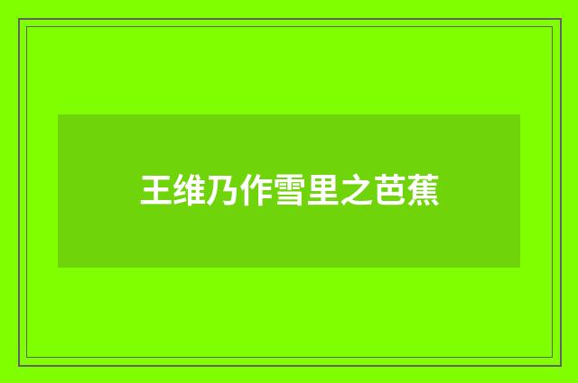 王维乃作雪里之芭蕉