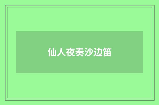仙人夜奏沙边笛