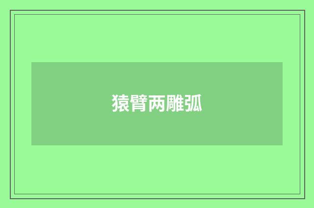 猿臂两雕弧