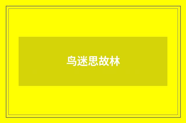 鸟迷思故林
