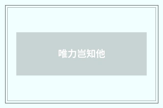 唯力岂知他