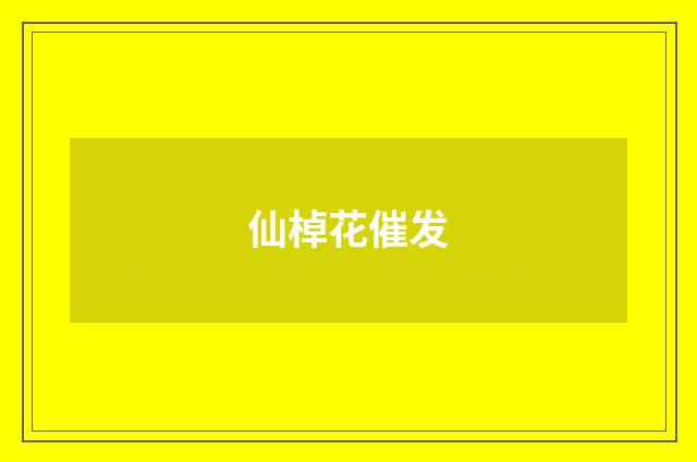 仙棹花催发