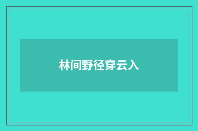 林间野径穿云入