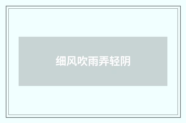 细风吹雨弄轻阴
